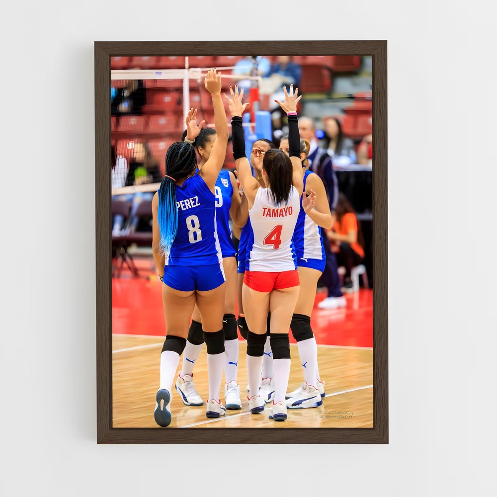 Poster Célébration sur le Sable – affiche Beach-volley (vue 5)